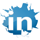 LinkedIn button