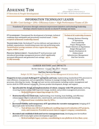 IT Leader