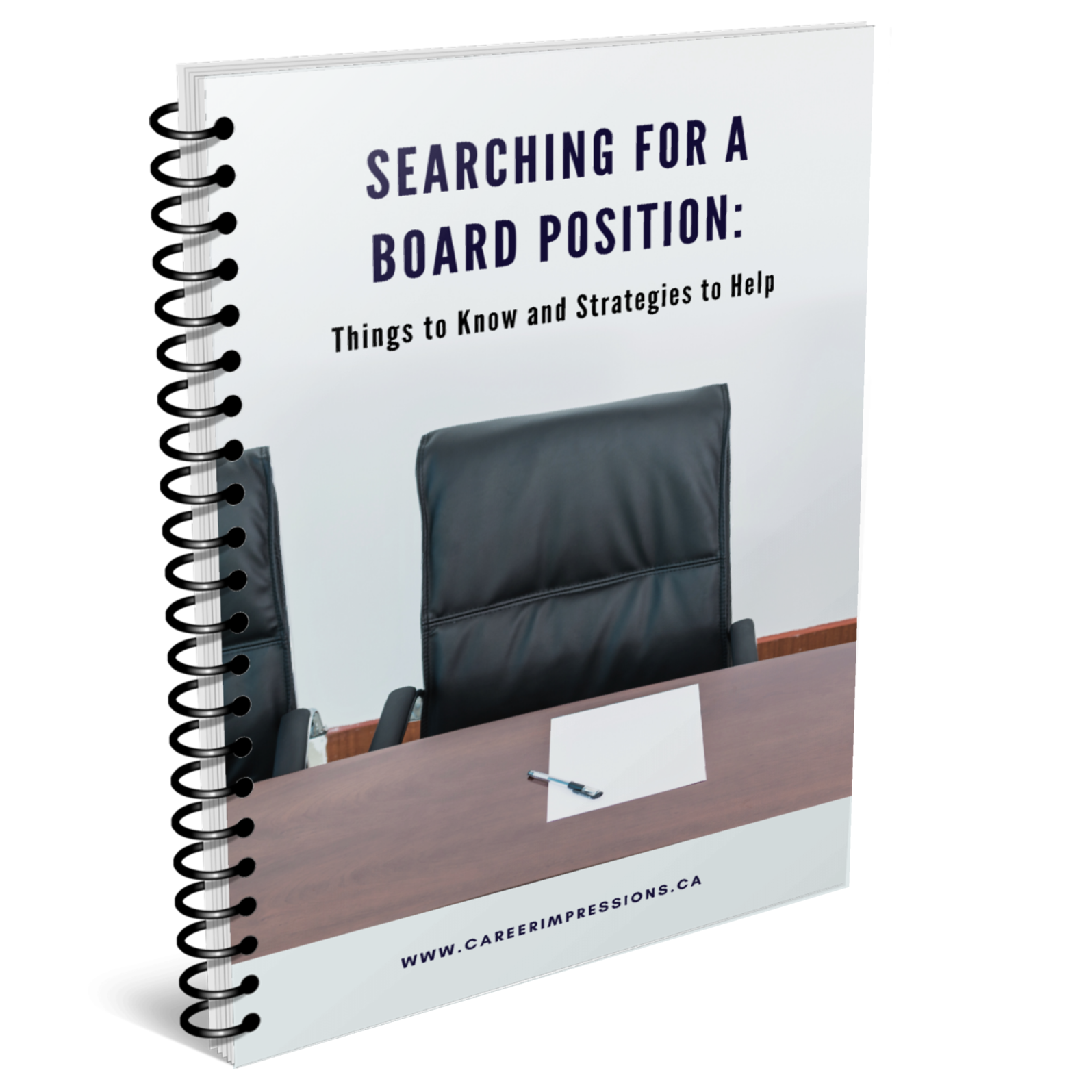 Searching for a Board of Directors Position